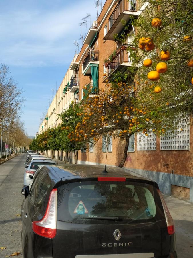 Apartamento Turistico Otel Córdoba Dış mekan fotoğraf
